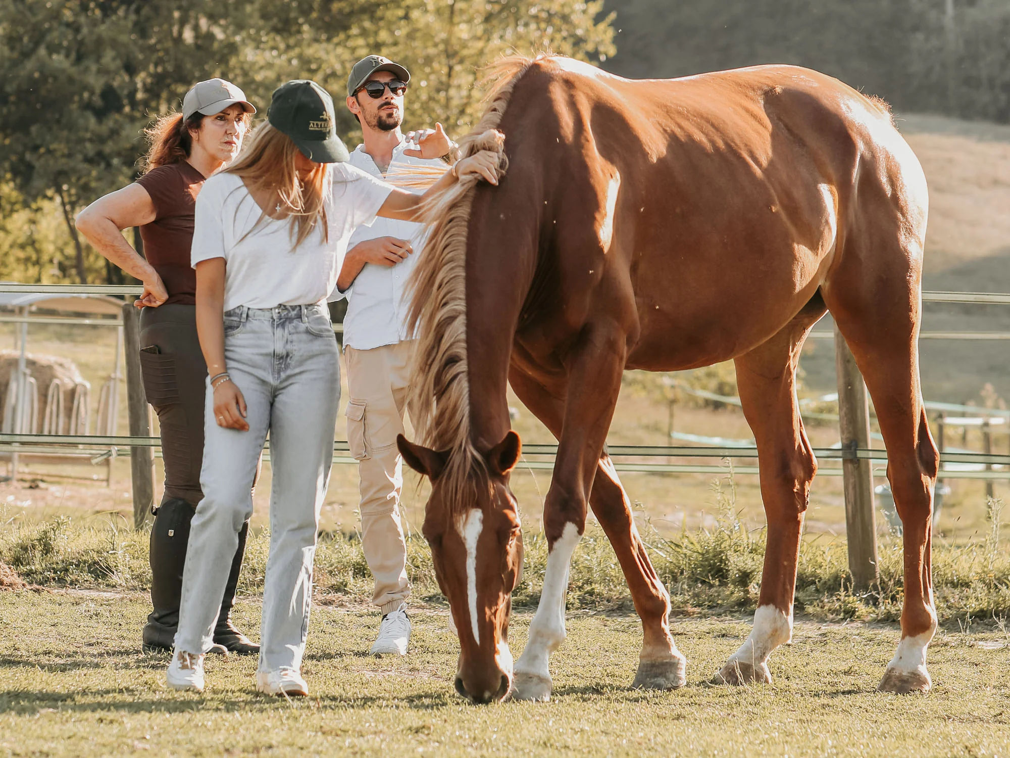 Team building with horses at Alterreno in Tuscany