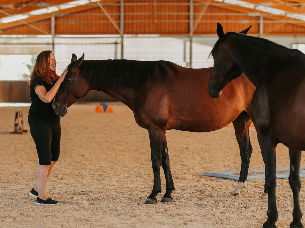 Alterreno Horse Power - 008