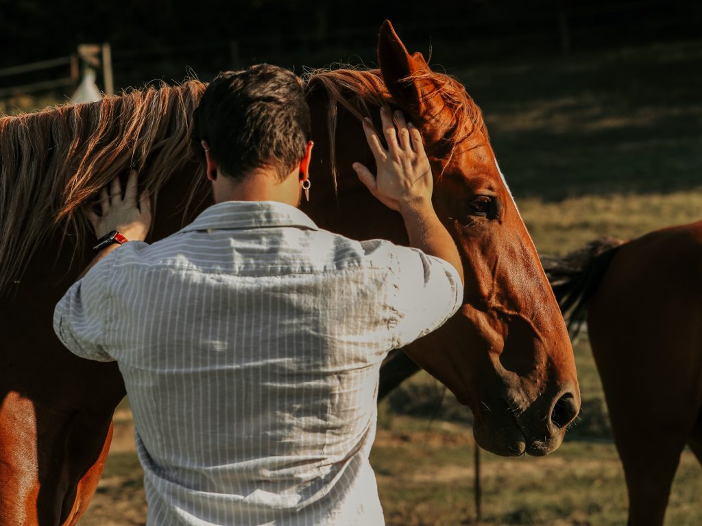Alterreno Horse Power - 016